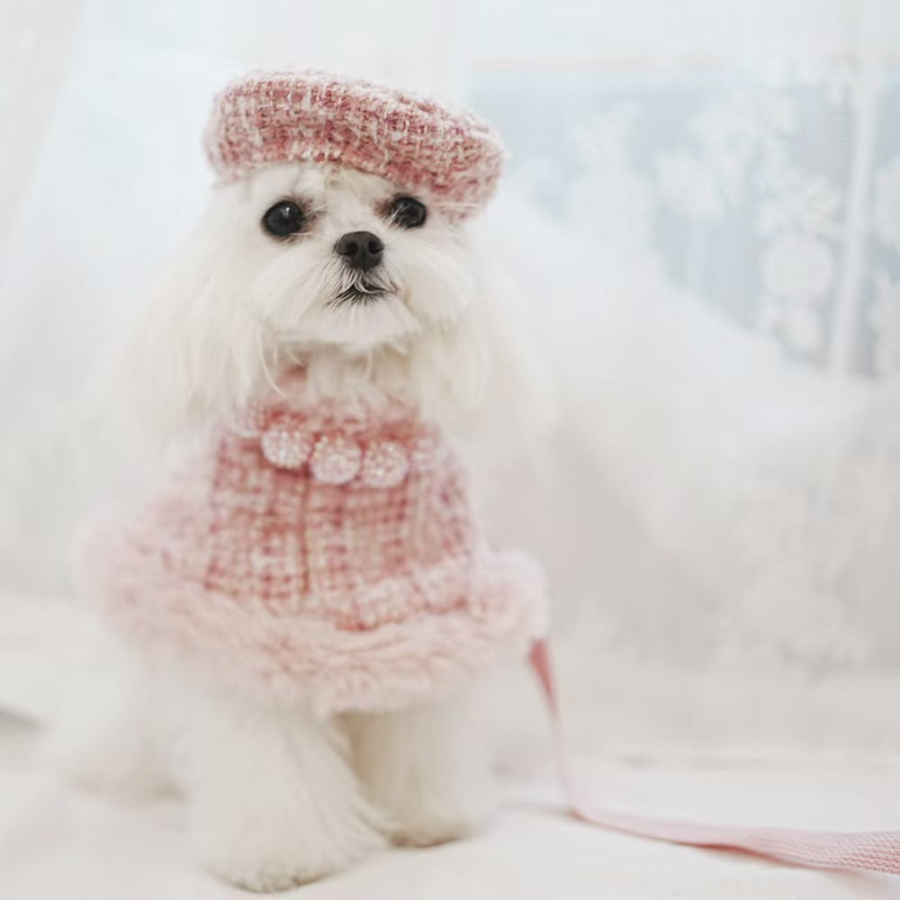 "Elegant Princess Series Dog Apparel - Luxury Dog Dresses, Tutus, and Gowns for Small to Large Pets - Perfect for Special Occasions and Everyday Glamour"